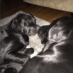 Meet your Posher, Janine